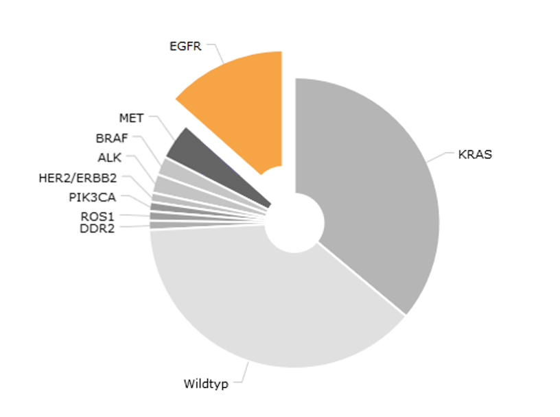 Studie für Patienten mit EGFR-positivem Lungenkarzinom nach Osimertinib